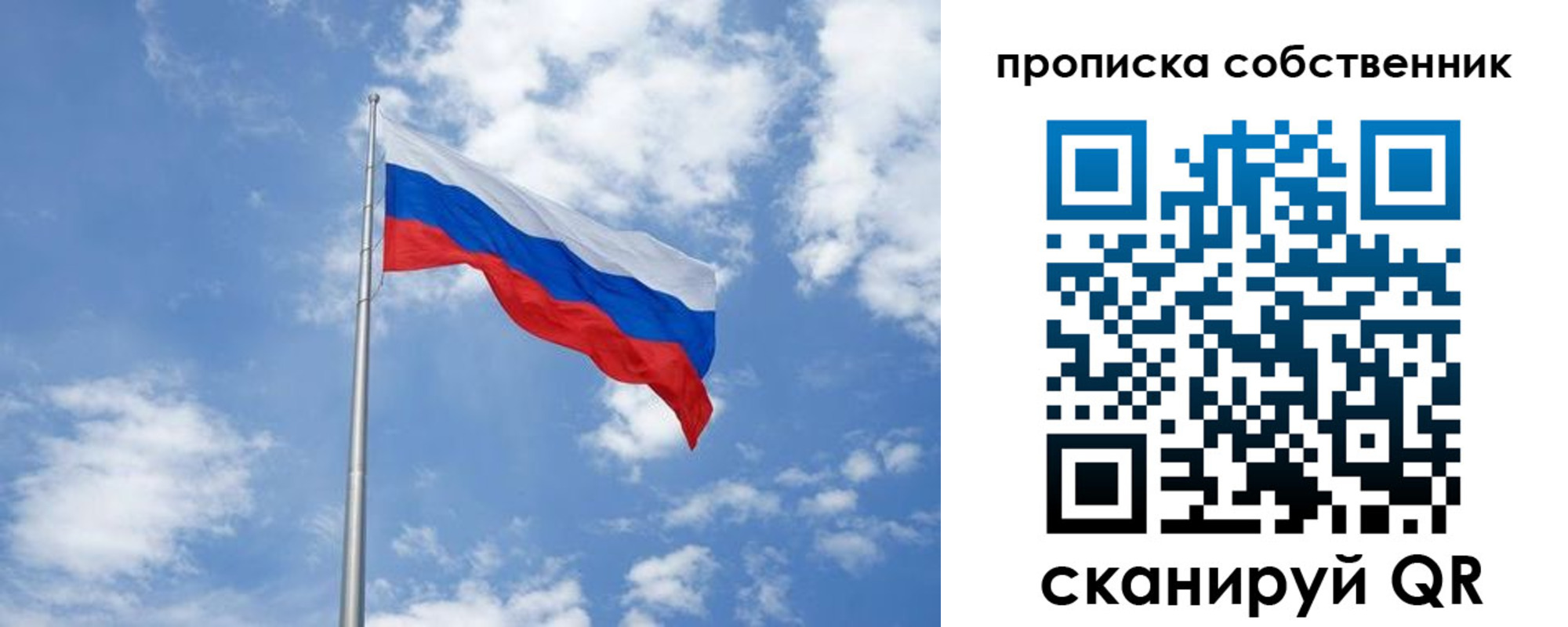 прописка поиск в Псковской области
